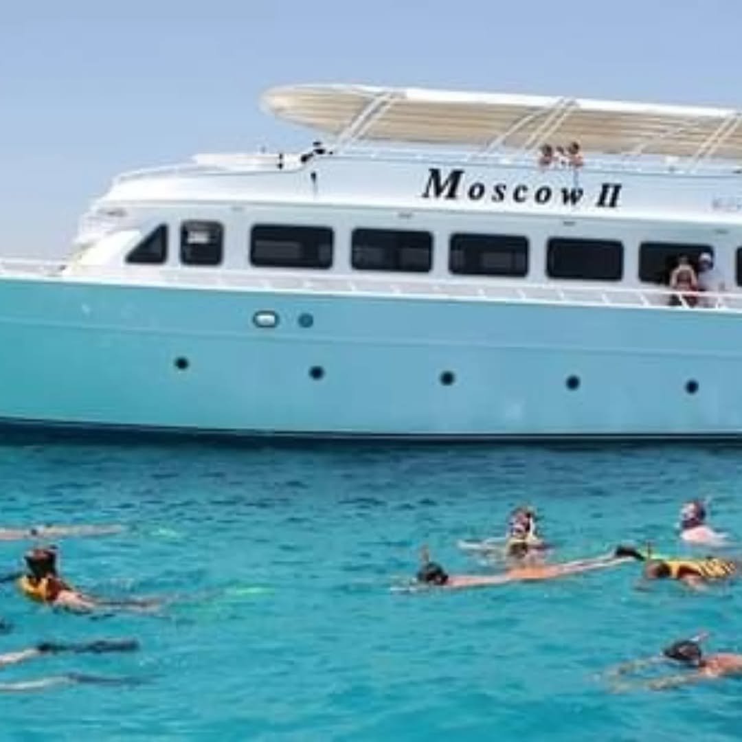 2244c5b2-9240-4fff-99f8-7843f5cd568d