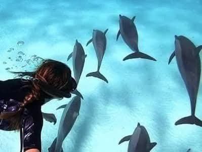 be0e5b7a-e9c1-4377-a98d-7353fc3be04f