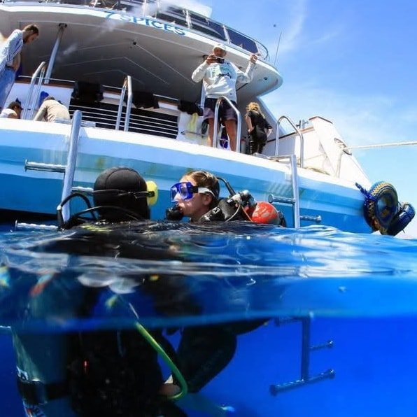 f3385b6f-5a11-4411-92c5-fa4aa4963530